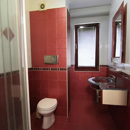 Guest Nexus 소피아