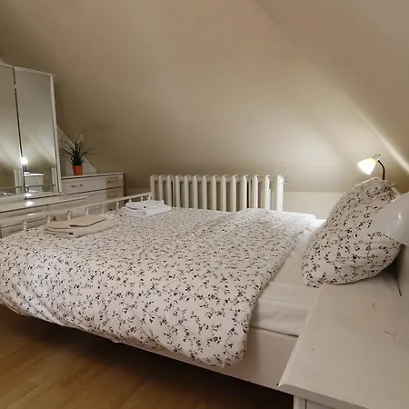 Guest Nexus * 소피아